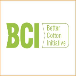 BCI