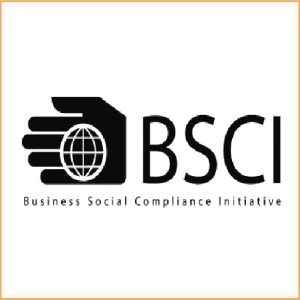 BSCI